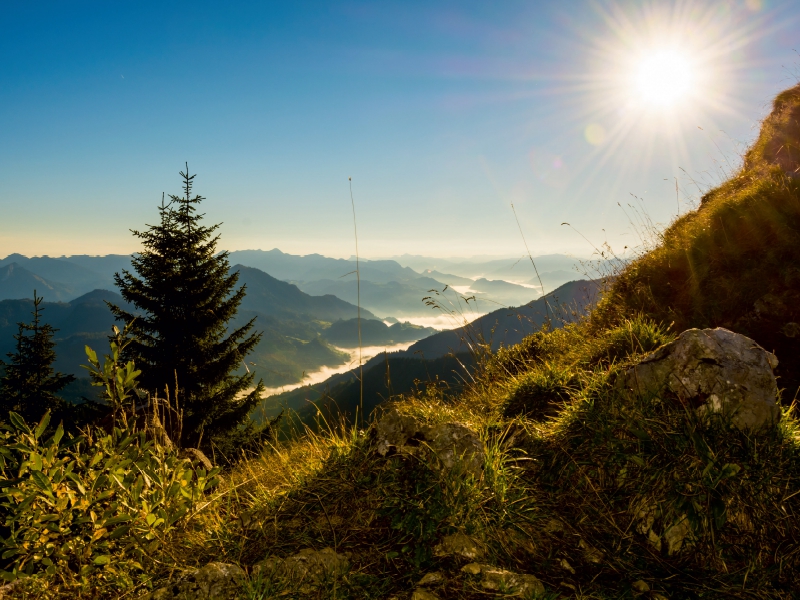 Blick vom Vogelsang ins Tal