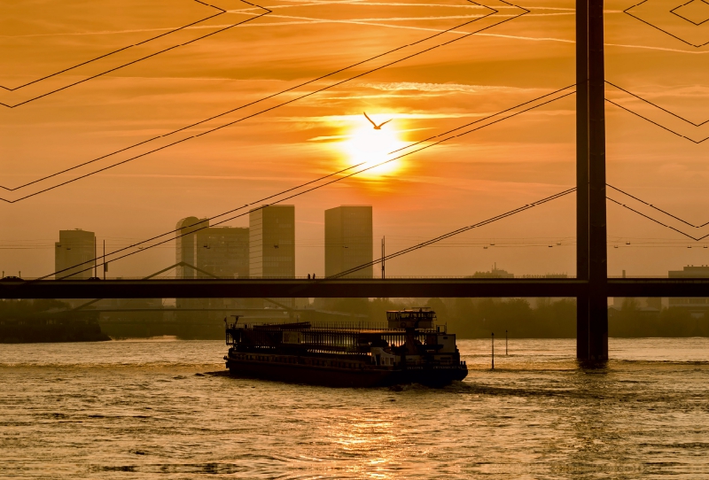 Der Rhein in der Abendsonne