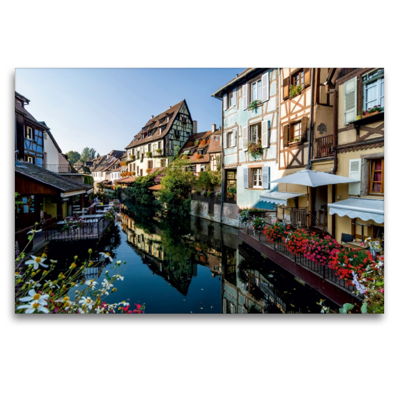 Colmar