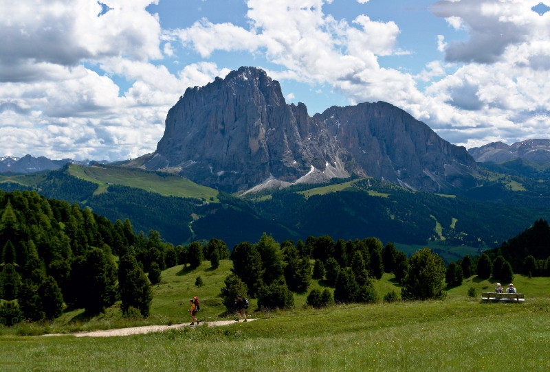 Grödnertal, Col Raiser, Blick zum Langkofel