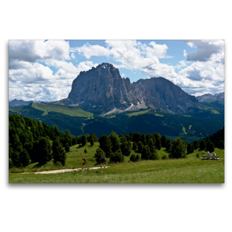 Grödnertal, Col Raiser, Blick zum Langkofel