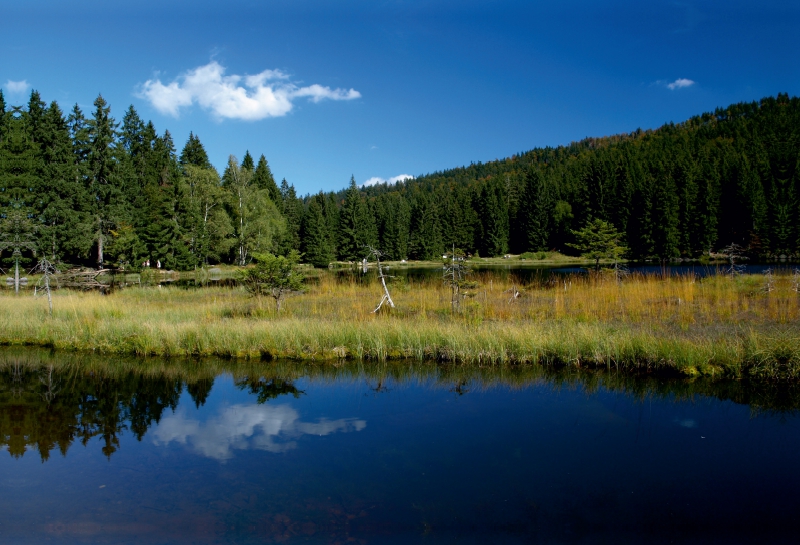 Wölkchen über dem Kleinen Arbersee