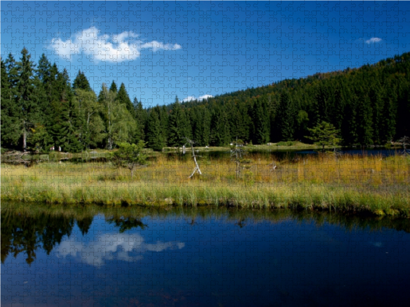 Wölkchen über dem Kleinen Arbersee