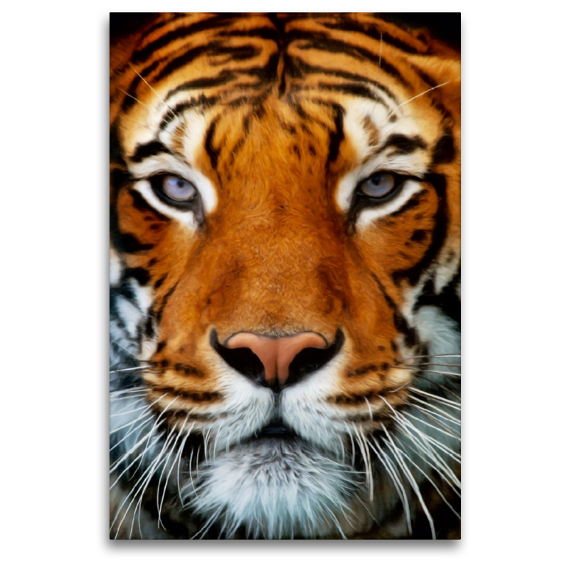 Tiger Portrait