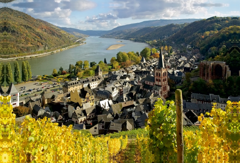 Bacharach