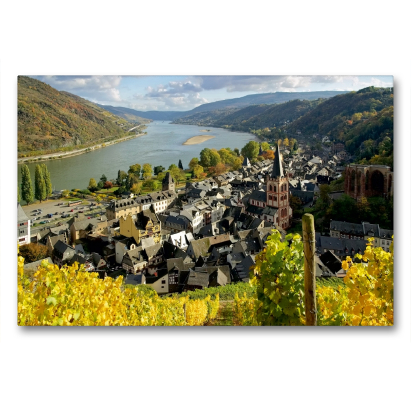 Bacharach