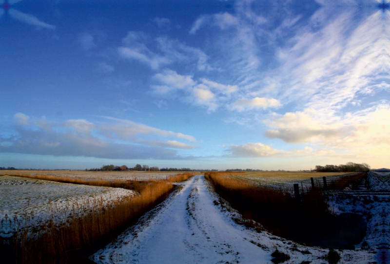 Winterliche Felder in Butjadingen