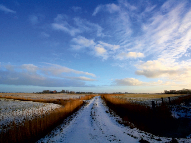 Winterliche Felder in Butjadingen