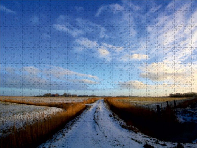 Winterliche Felder in Butjadingen