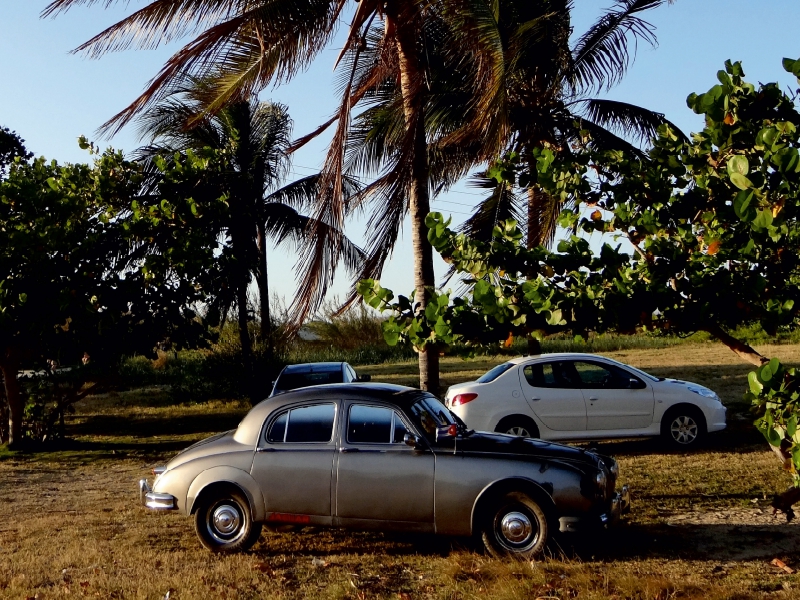 Der britische Oldtimer Jaguar Mark2 auf Kuba