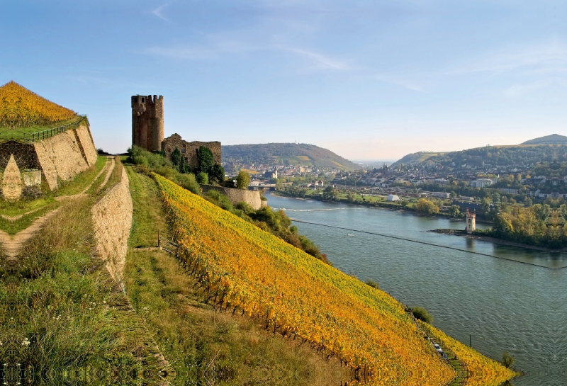 Burg Ehrenfels