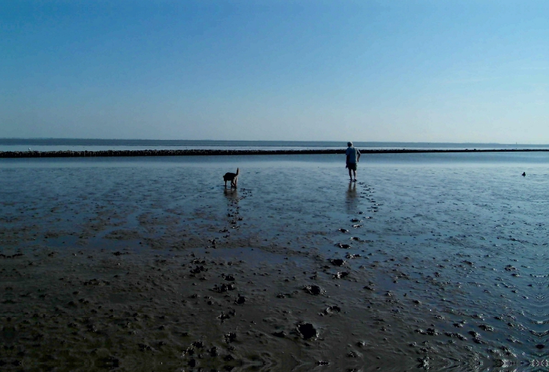 Wattspaziergang mit Hund an der Nordsee