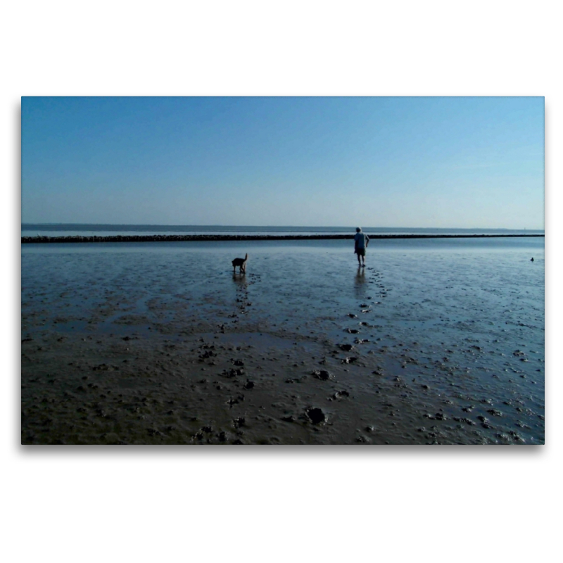 Wattspaziergang mit Hund an der Nordsee