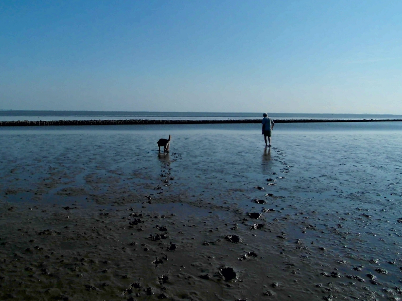 Wattspaziergang mit Hund an der Nordsee