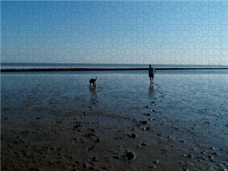 Wattspaziergang mit Hund an der Nordsee