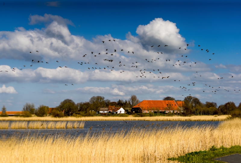 Bauernhaus bei Greetsiel