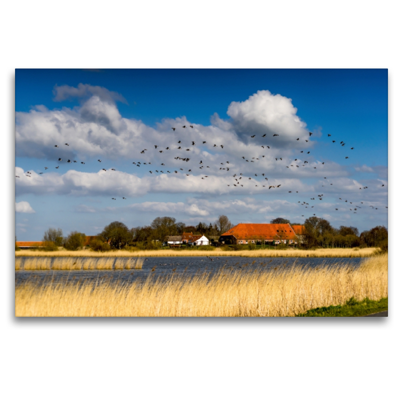 Bauernhaus bei Greetsiel