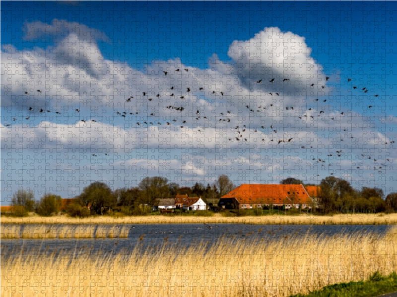 Bauernhaus bei Greetsiel