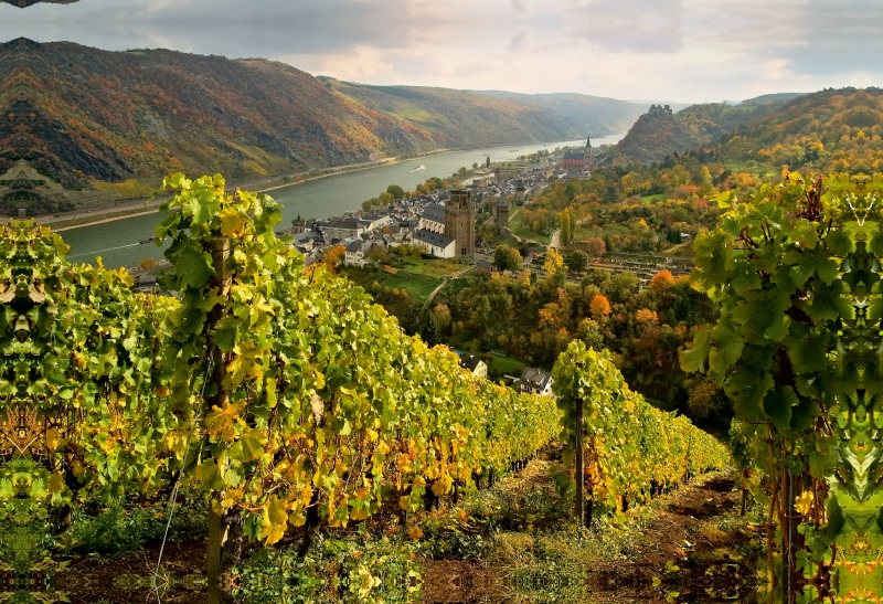 Oberwesel