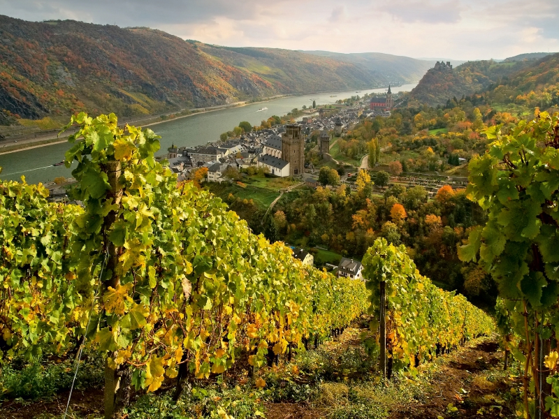 Oberwesel