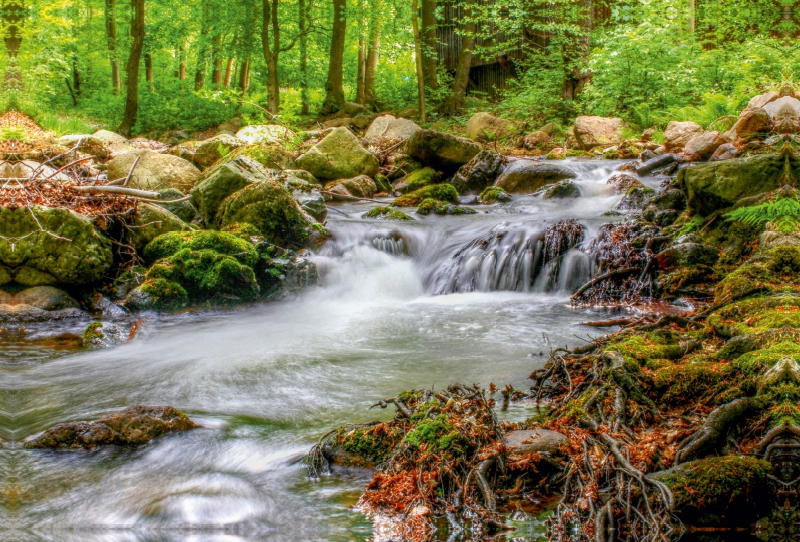 Harz