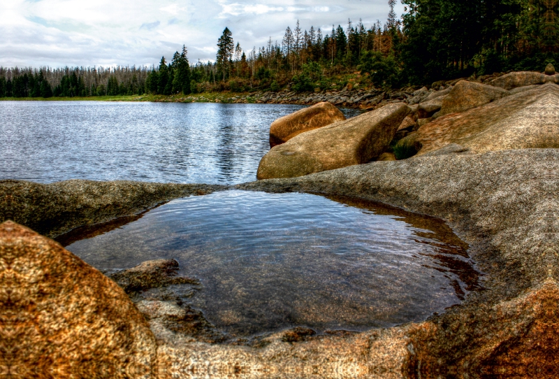 Harz