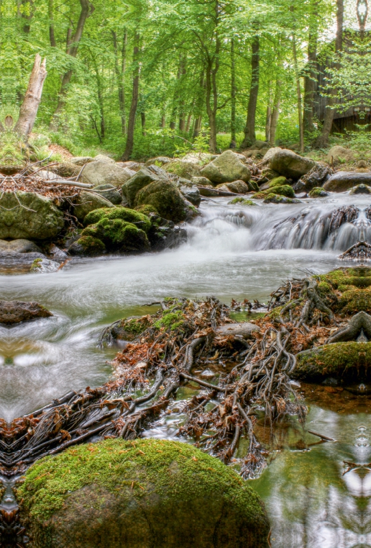 Harz