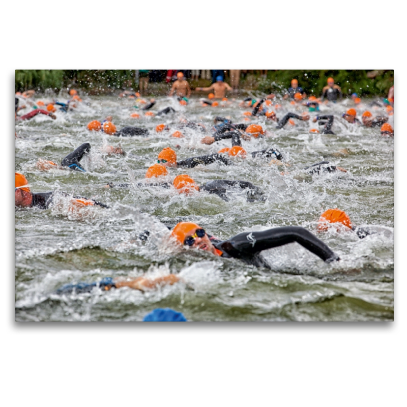 Schwimmen im Main beim Kitzinger Mainfrankentriathlon