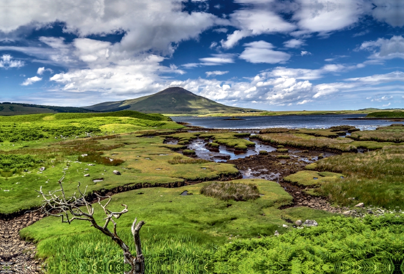 Moorlandschaft im County Mayo