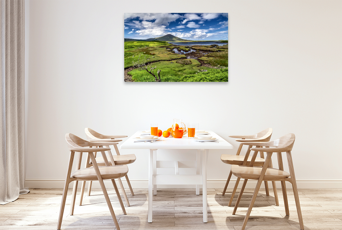 Moorlandschaft im County Mayo