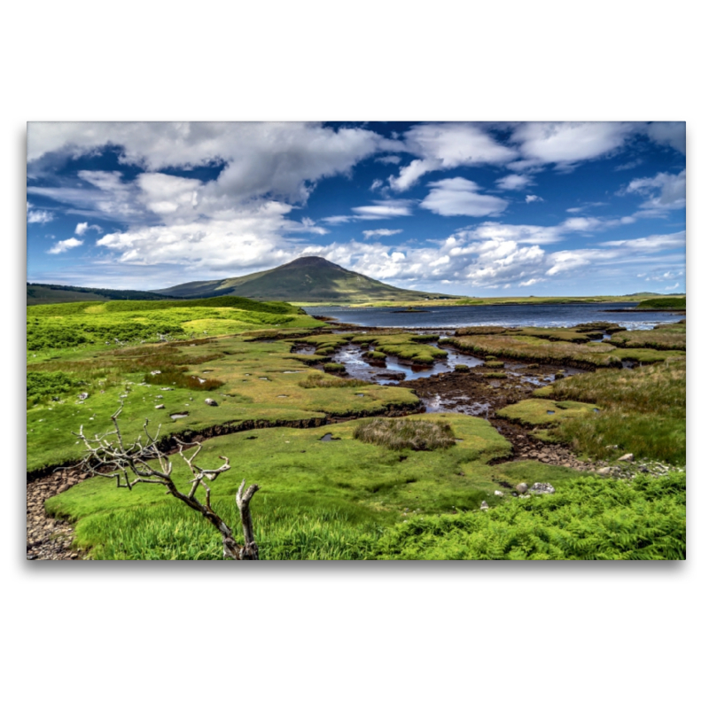 Moorlandschaft im County Mayo