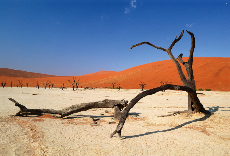 Tote Bäume im Deadvlei