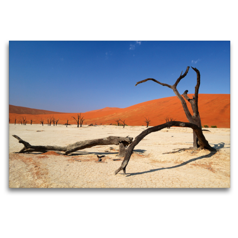 Tote Bäume im Deadvlei