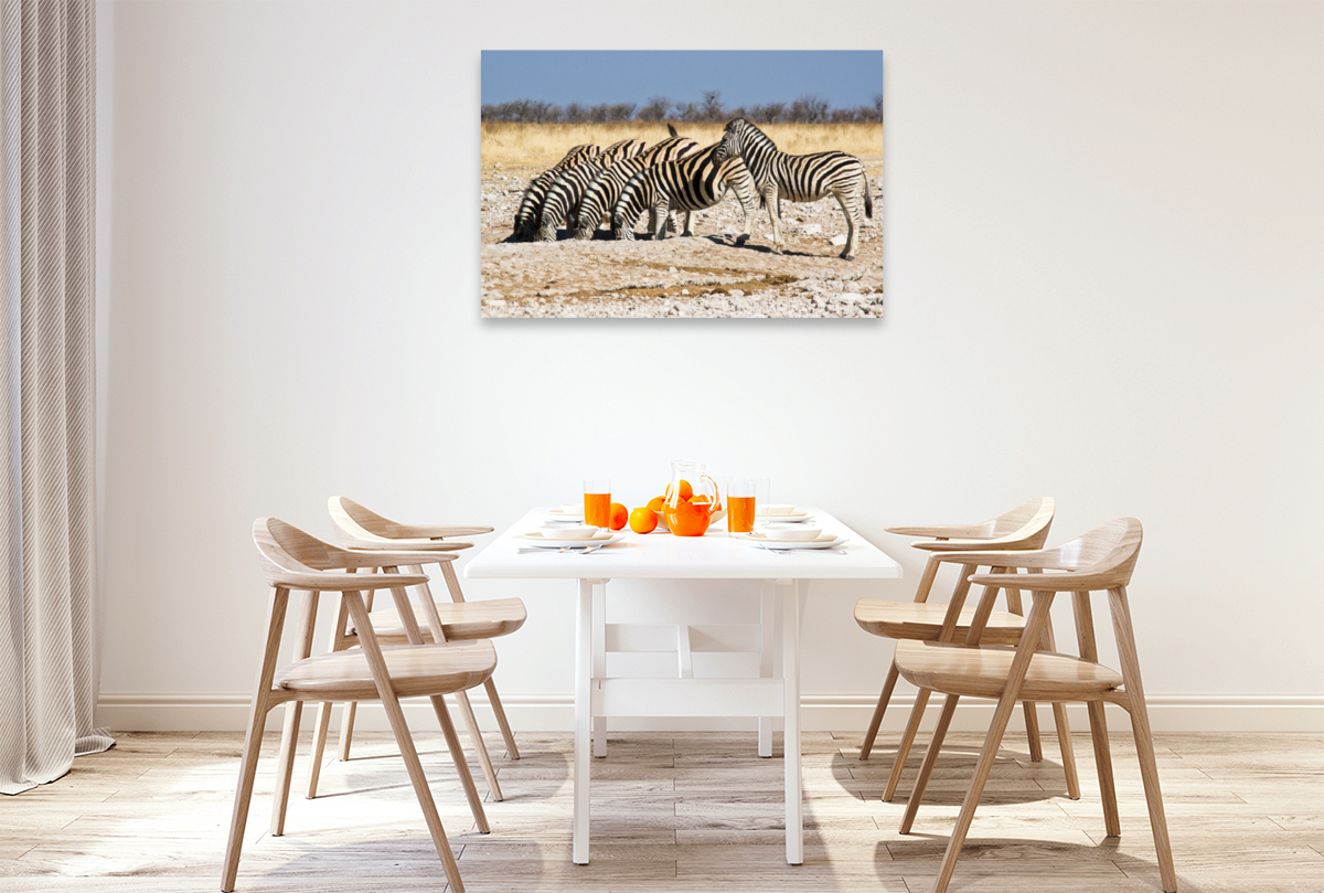 Burchell Zebras an einem Wasserloch im Etosha National Park