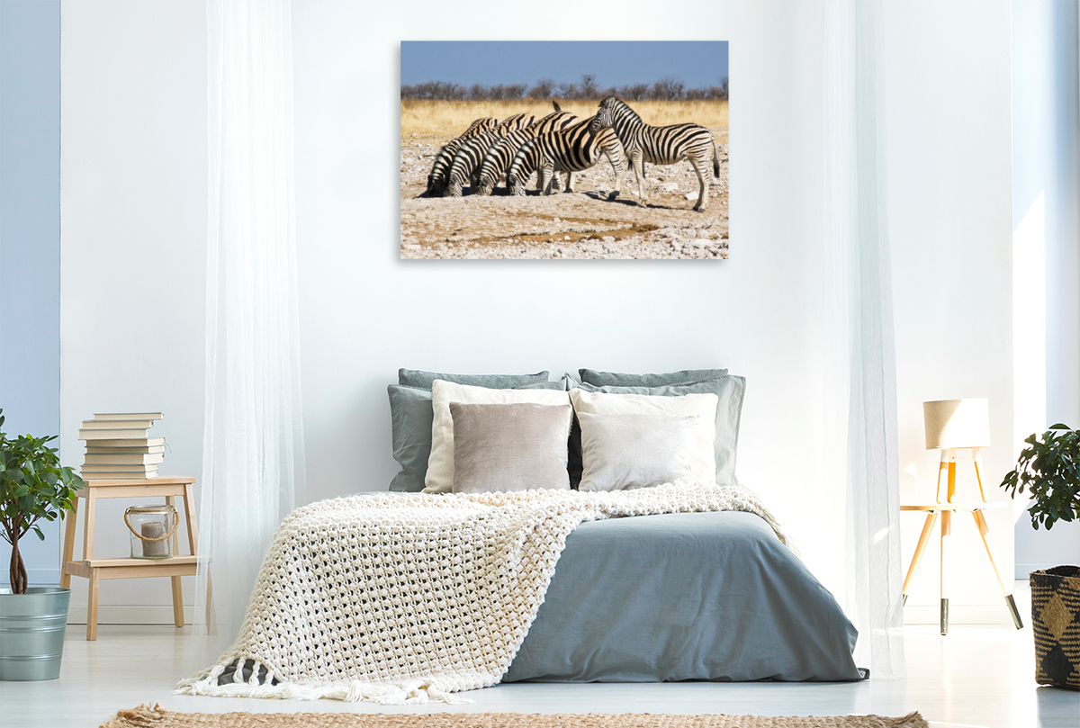 Burchell Zebras an einem Wasserloch im Etosha National Park