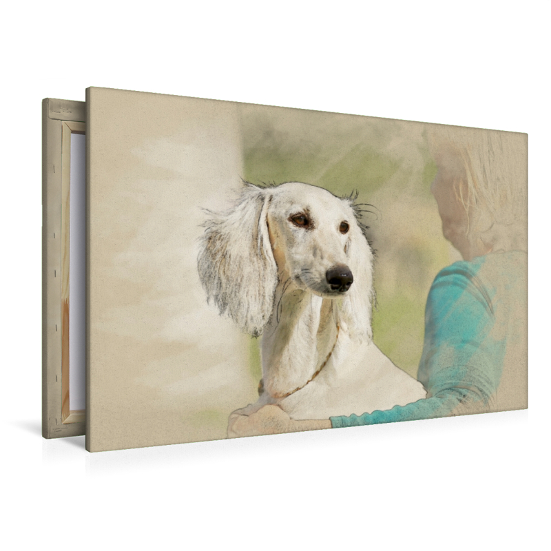 Ein Motiv aus dem Kalender Saluki Portraits