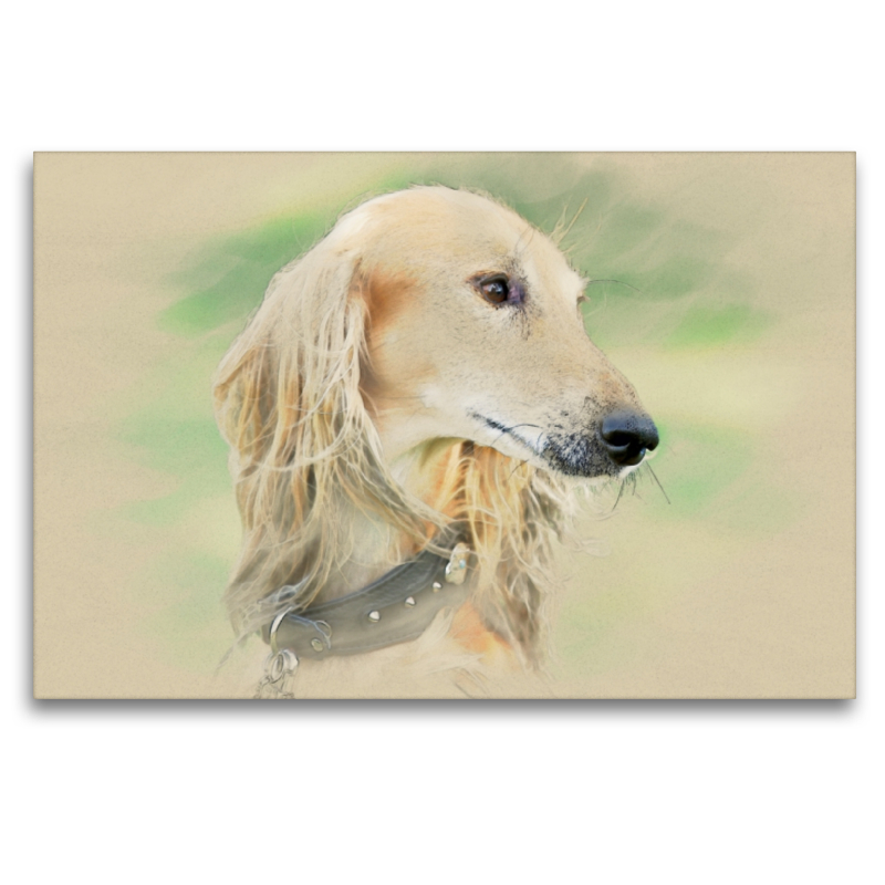 Ein Motiv aus dem Kalender Saluki Portraits