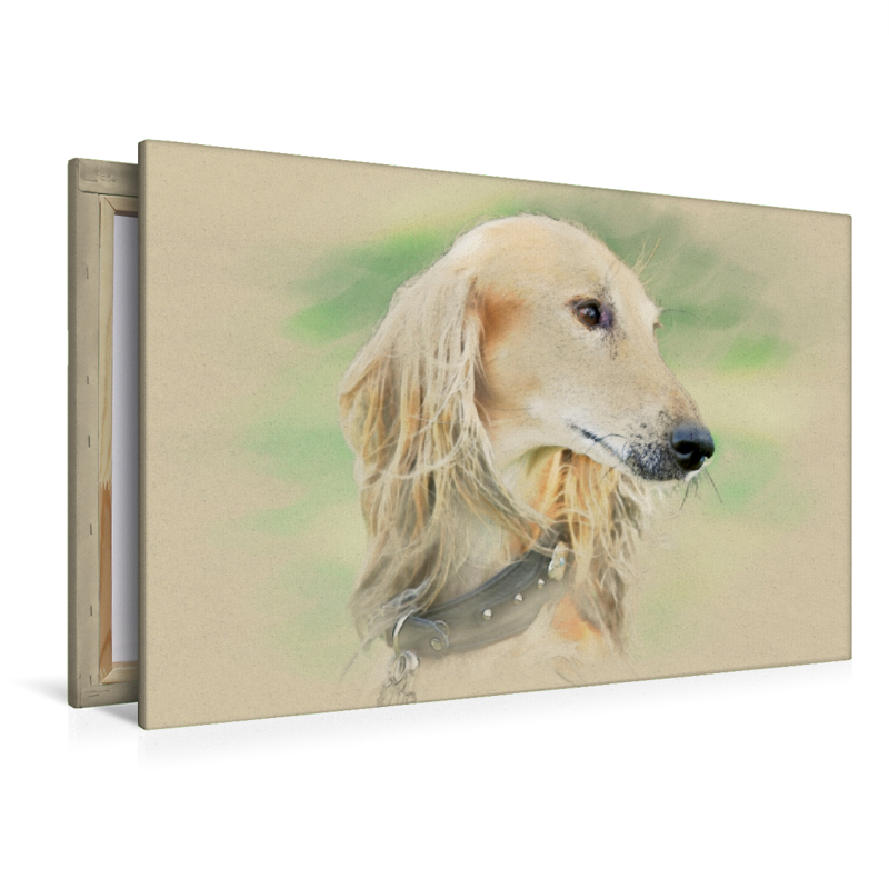 Ein Motiv aus dem Kalender Saluki Portraits