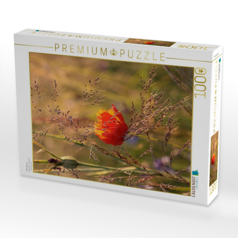 Mohnblume