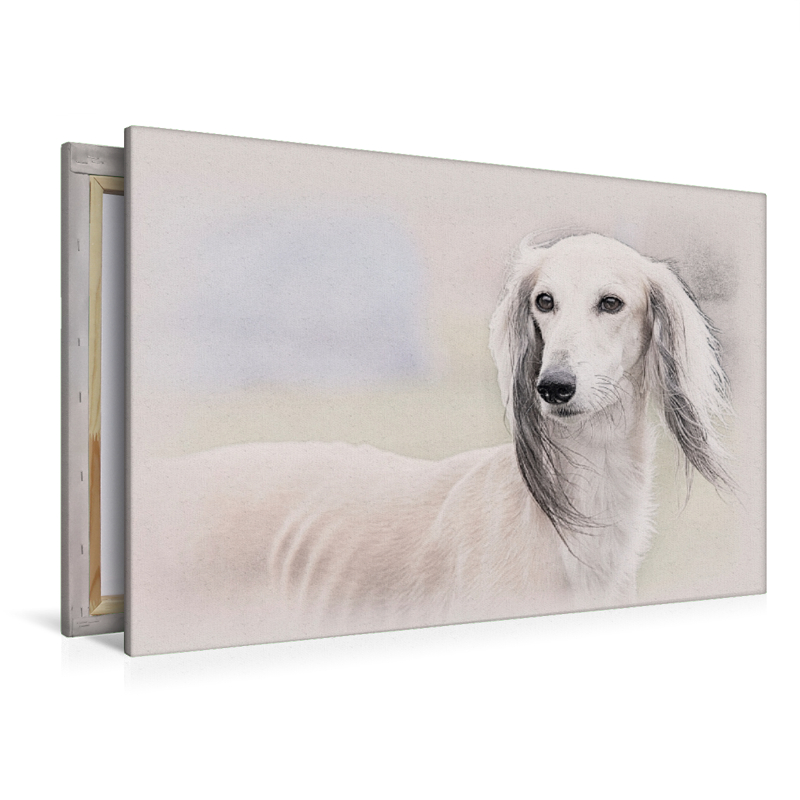 Saluki