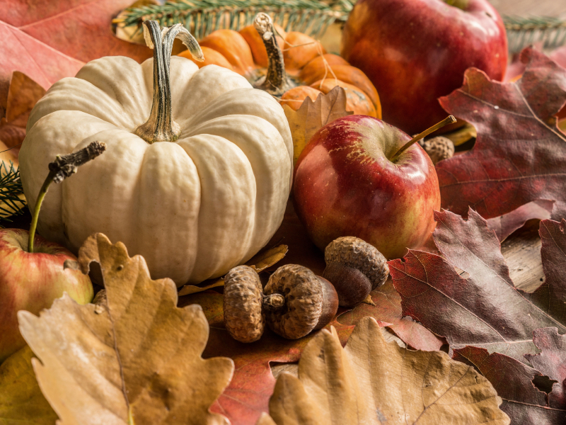 Kürbis, Äpfel, Eicheln und Herbstblätter