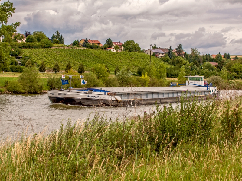 Schiff auf dem Main bei Mainstockheim