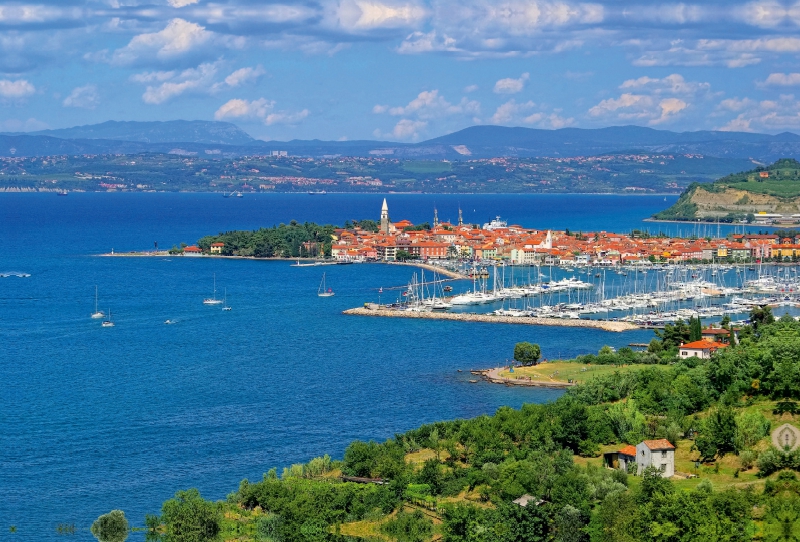 Izola