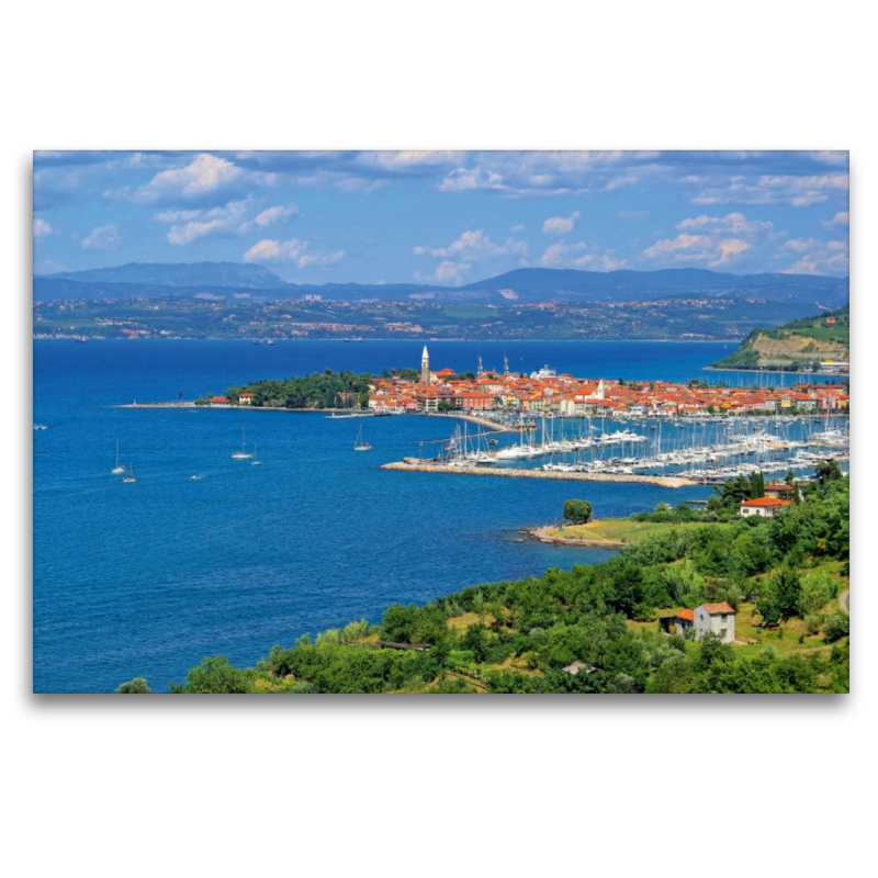 Izola