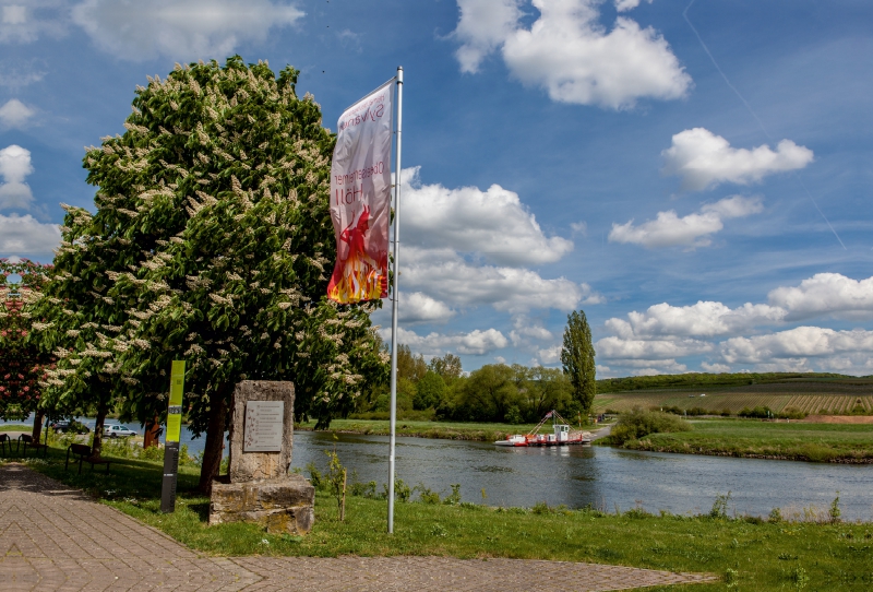 Mainfähre Obereisenheim