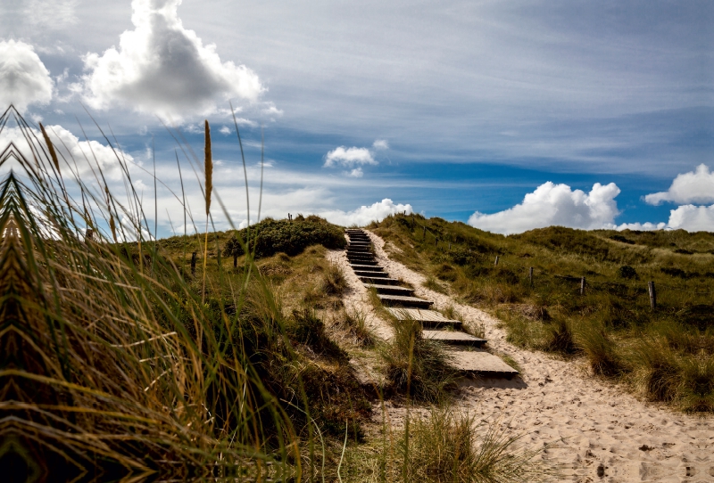 Strandgras, Treppe in die Dünen