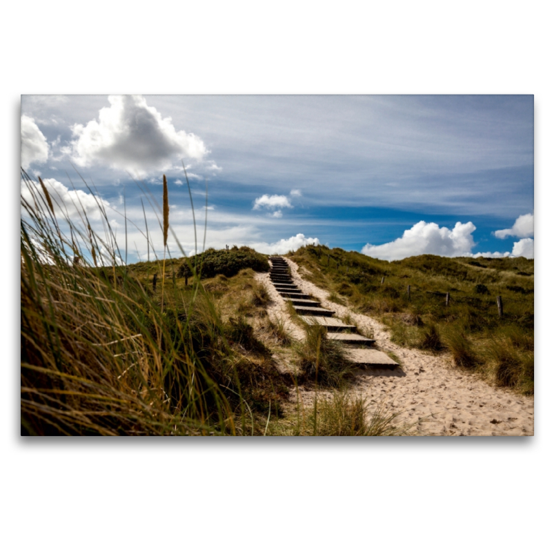 Strandgras, Treppe in die Dünen