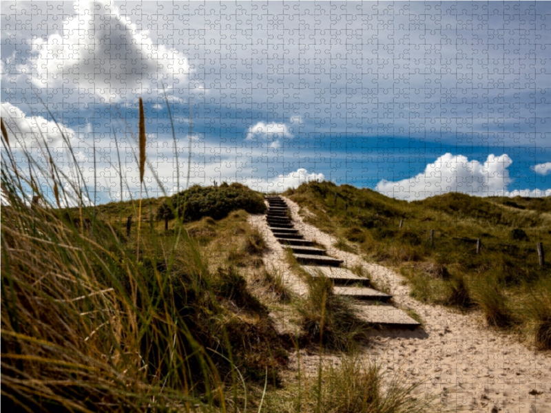 Strandgras, Treppe in die Dünen