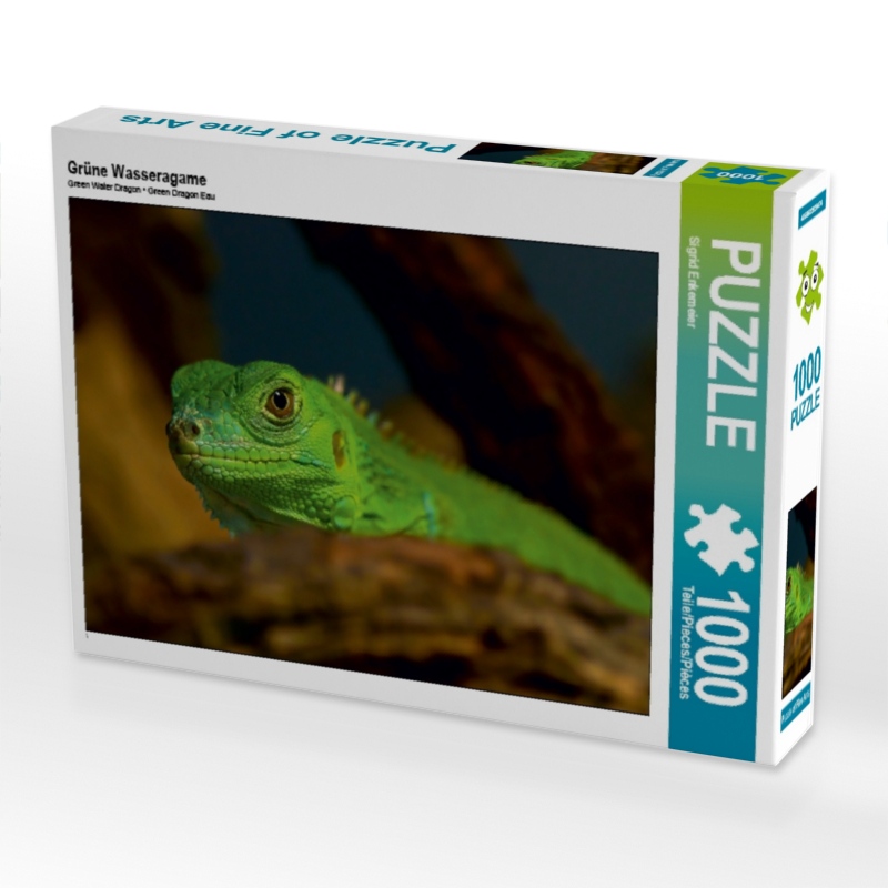 Grüne Wasseragame