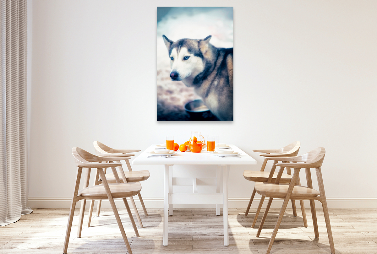 Ein Motiv aus dem Kalender Huskies - Artwork